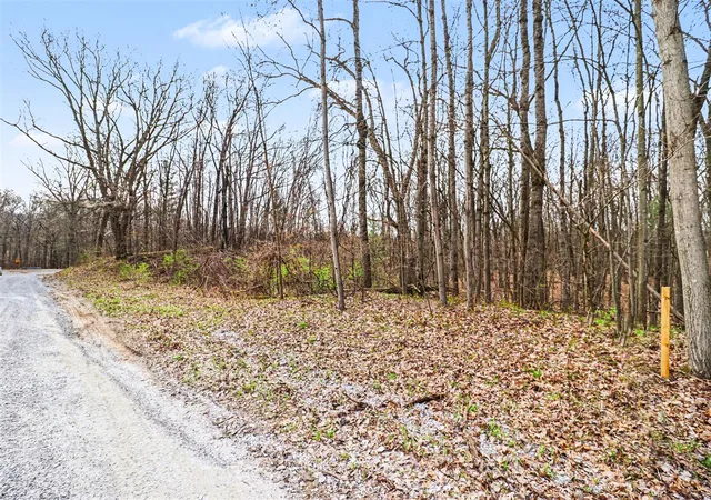Photo 4 of Land for sale at 6920 19 Mile Rd, Cedar Springs, MI 49319 | MLS# 70526885 | Listing updated on 2026-08-24