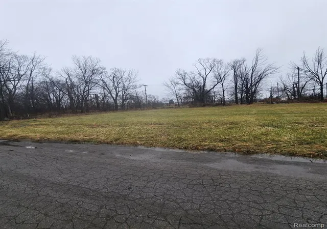 Photo 2 of Land for sale at 2242 Saint Joseph St, Detroit, MI 48207 | MLS# 60970042 | Listing updated on 2026-07-07