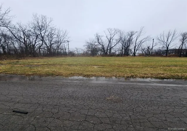 Photo 3 of Land for sale at 2242 Saint Joseph St, Detroit, MI 48207 | MLS# 60970042 | Listing updated on 2026-07-07