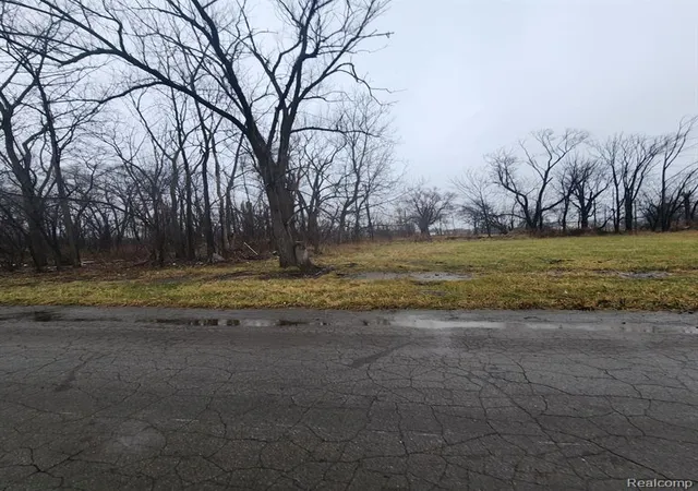 Photo 3 of Land for sale at 2242 Saint Joseph St, Detroit, MI 48207 | MLS# 60970042 | Listing updated on 2026-07-07