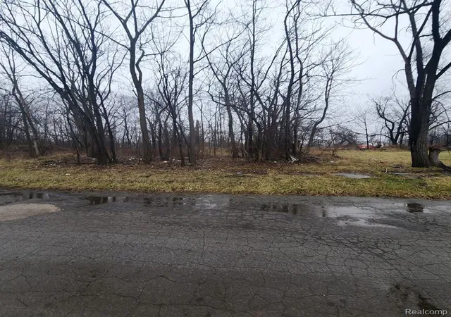 Photo 4 of Land for sale at 2242 Saint Joseph St, Detroit, MI 48207 | MLS# 60970042 | Listing updated on 2026-07-07