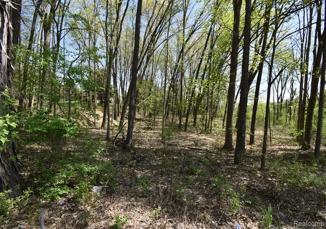 Photo 3 of Sale Pending at 10146 Island Lake Rd, Dexter, MI 48130 | MLS# 60394496 | Listing updated on 2026-05-07