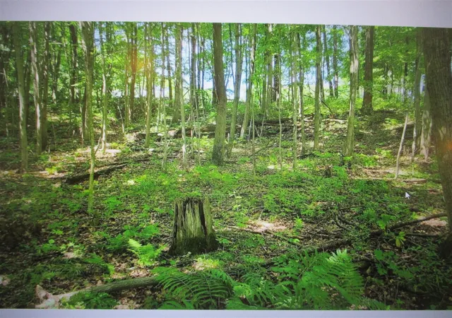 Photo 2 of Sale Pending at 13478 Windy Craig Dr, Gowen, MI 49326 | MLS# 70424878 | Listing updated on 2026-07-06