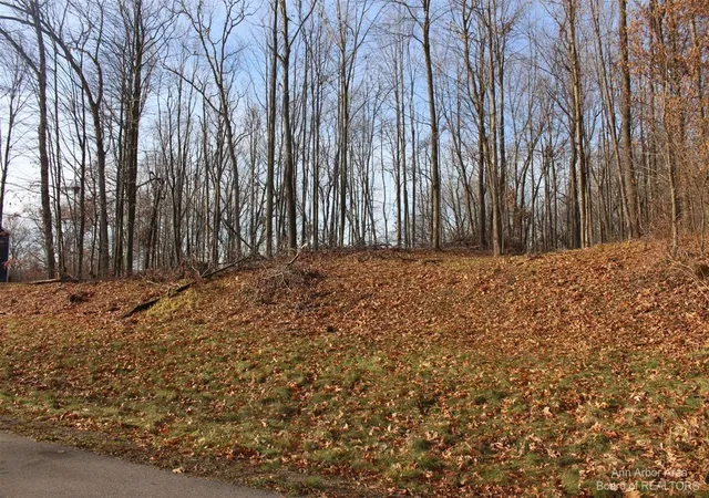 Photo 1 of Land for sale at 0 Lindsey Unit 13 Rd, Jackson, MI 49201 | MLS# 70379467 | Listing updated on 2026-01-26