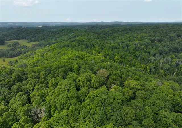 Photo 2 of Land for sale at V/l 40a Lambdin Rd, East Jordan, MI 49727 | MLS# 70552887 | Listing updated on 2026-08-17