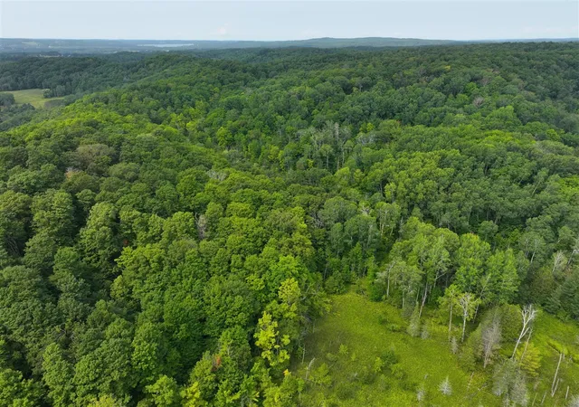 Photo 3 of Land for sale at V/l 40a Lambdin Rd, East Jordan, MI 49727 | MLS# 70552887 | Listing updated on 2026-08-17