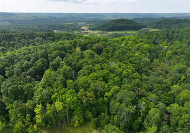 Photo 4 of Land for sale at V/l 40a Lambdin Rd, East Jordan, MI 49727 | MLS# 70552887 | Listing updated on 2026-08-17