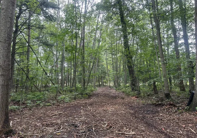 Photo 12 of Land for sale at Vl Par A Buchanan, West Olive, MI 49460 | MLS# 70550231 | Listing updated on 2026-08-20