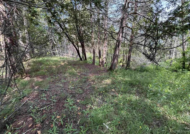 Homes for sale in Naubinway, MI | Tbd West Beach Rd, Naubinway, MI 49762 | MLS# 50213883