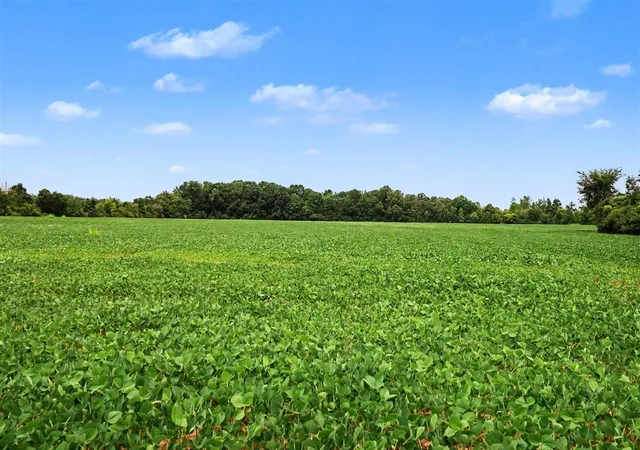 Photo 3 of Land for sale at Vl Willis Rd, Ypsilanti, MI 48197 | MLS# 70548401 | Listing updated on 2026-07-31