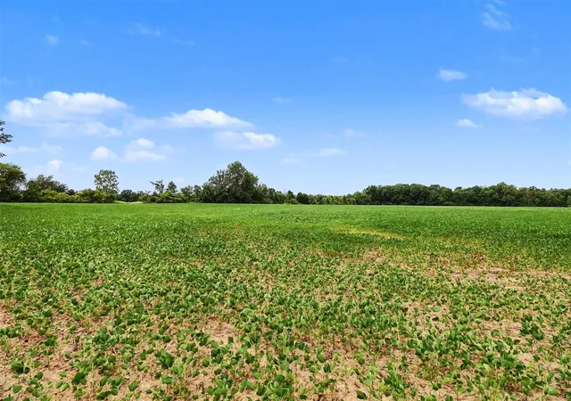 Photo 4 of Land for sale at Vl Willis Rd, Ypsilanti, MI 48197 | MLS# 70548401 | Listing updated on 2026-07-31