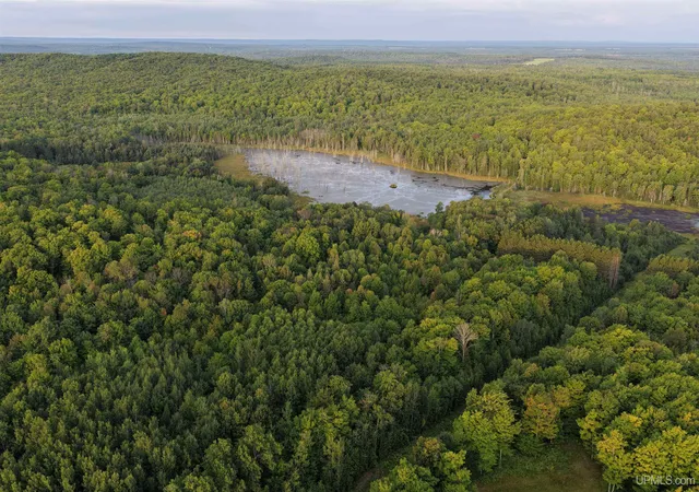 Photo 3 of Land for sale at Tbd Strangle Rd, Bruce Crossing, MI 49912 | MLS# 50219688 | Listing updated on 2026-08-25