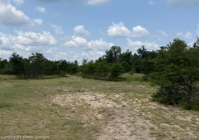 Photo 3 of Sale Pending at 0000 Winding Rd, Lewiston, MI 49756 | MLS# 61020281 | Listing updated on 2026-08-14