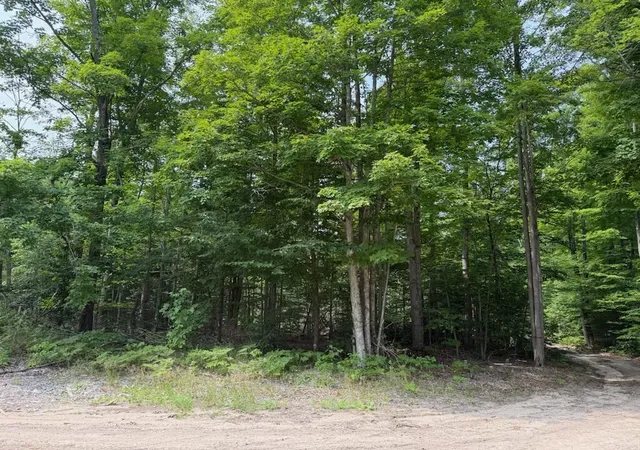 21st image of 0 Padgett Rd, Boyne Falls, MI 49713 | MLS# 70553124