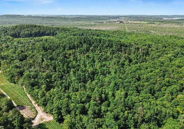 4th image of 0 Padgett Rd, Boyne Falls, MI 49713 | MLS# 70553124