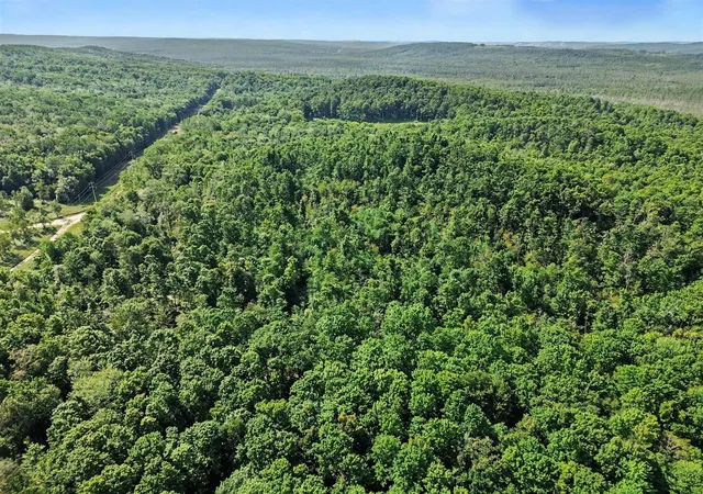 5th image of 0 Padgett Rd, Boyne Falls, MI 49713 | MLS# 70553124