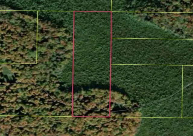 Homes for sale in Kalkaska, MI | Vl Sharon Rd, Kalkaska, MI 49646 | MLS# 70525694