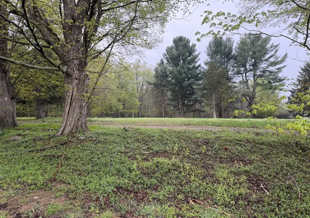 Land for sale at Lot 1 Christopher Ln, South Haven, MI 49090 | MLS# 70552041