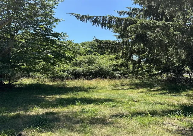 Photo 4 of Land for sale at Lot 1 Christopher Ln, South Haven, MI 49090 | MLS# 70552041 | Listing updated on 2026-08-13
