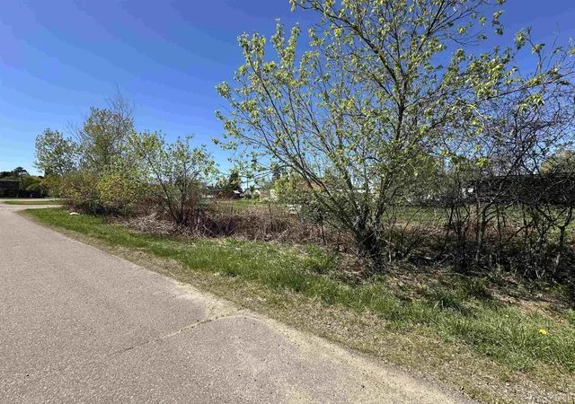 Homes for sale in Iron River, MI | Tbd N Third Ave, Iron River, MI 49935 | MLS# 50209411