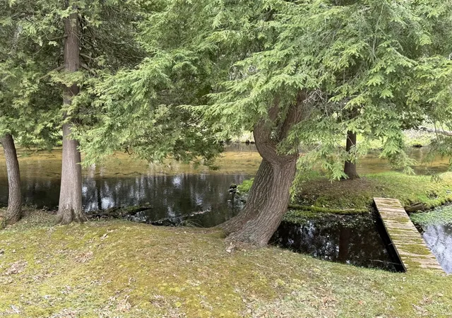 4th image of 4699 N Able Rd, Irons, MI 49644 | MLS# 70527910