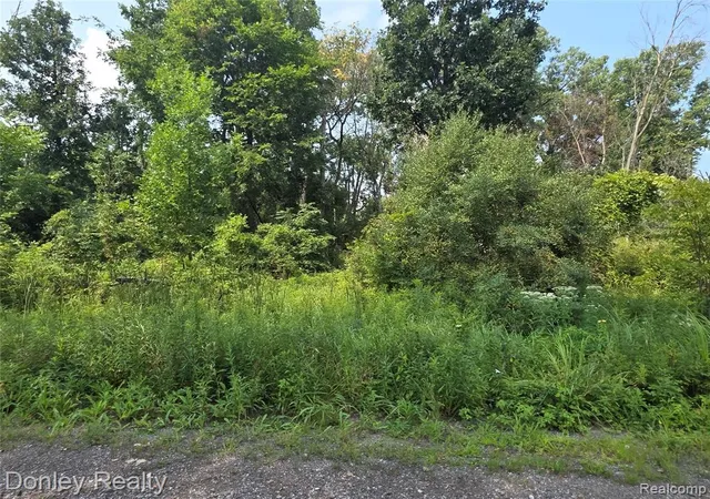 Photo 3 of Land for sale at 20 Vacant Lots Concord Cranbrook & Tulane, Marlette, MI 48453 | MLS# 60976573 | Listing updated on 2026-08-14