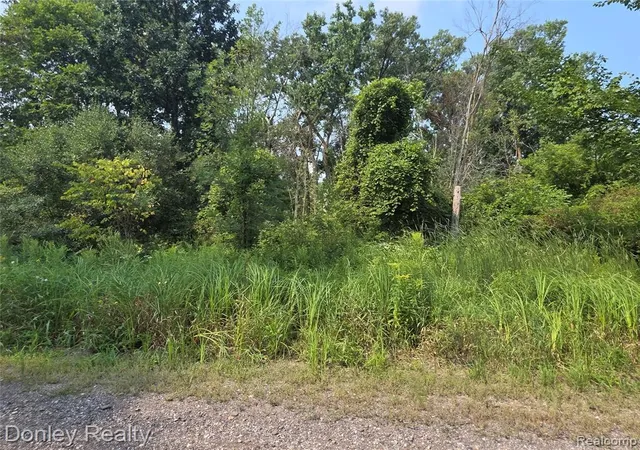 Photo 3 of Land for sale at 20 Vacant Lots Concord Cranbrook & Tulane, Marlette, MI 48453 | MLS# 60976573 | Listing updated on 2026-08-14