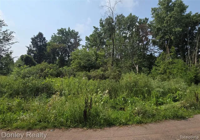 Photo 4 of Land for sale at 20 Vacant Lots Concord Cranbrook & Tulane, Marlette, MI 48453 | MLS# 60976573 | Listing updated on 2026-08-14