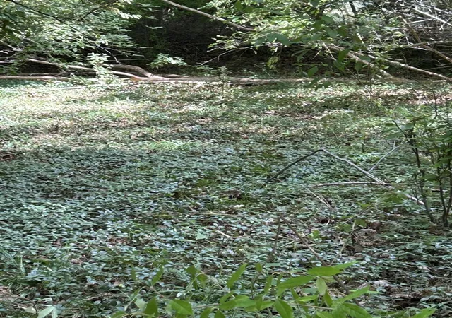 2nd image of Longbridge West Lot 9, Pentwater, MI 49449 | MLS# 70554209