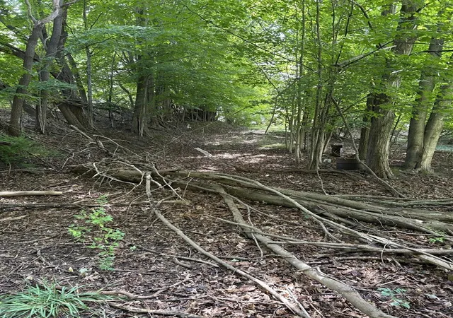 5th image of Longbridge West Lot 9, Pentwater, MI 49449 | MLS# 70554209