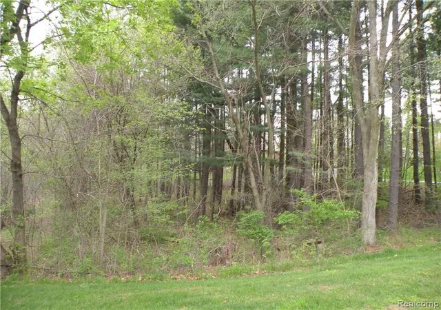 Homes for sale in Pinckney, MI | Lot 33 Alta Vista Dr, Pinckney, MI 48169 | MLS# 60363859