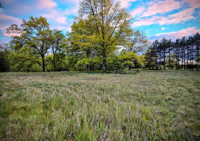 1st image of Cedar And 12th St, Evart, MI 49631 | MLS# 80060425