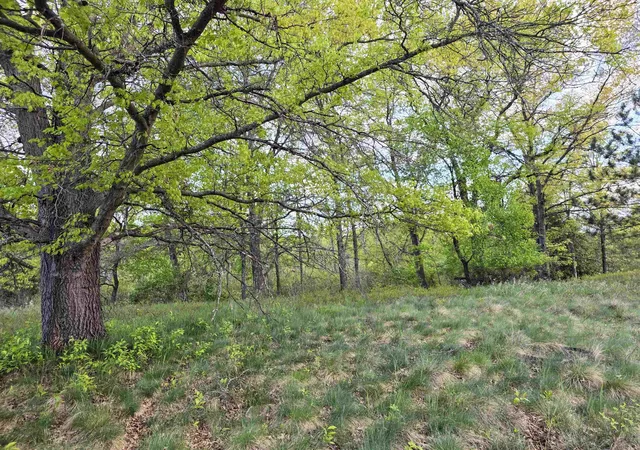 2nd image of Cedar And 12th St, Evart, MI 49631 | MLS# 80060425