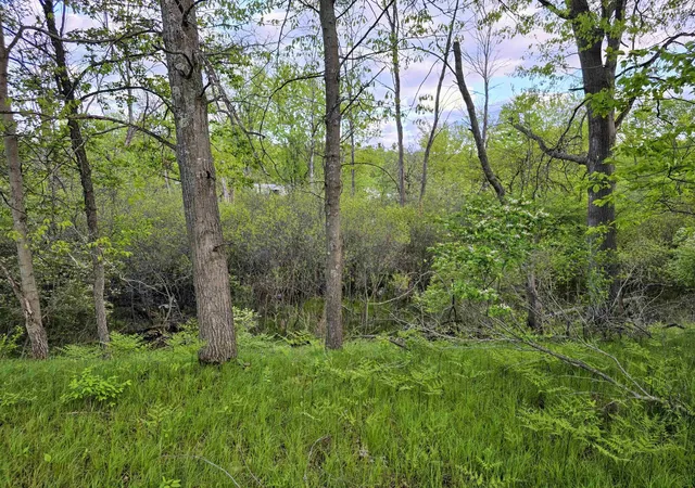 4th image of Cedar And 12Th St, Evart, MI 49631 | MLS# 80060425