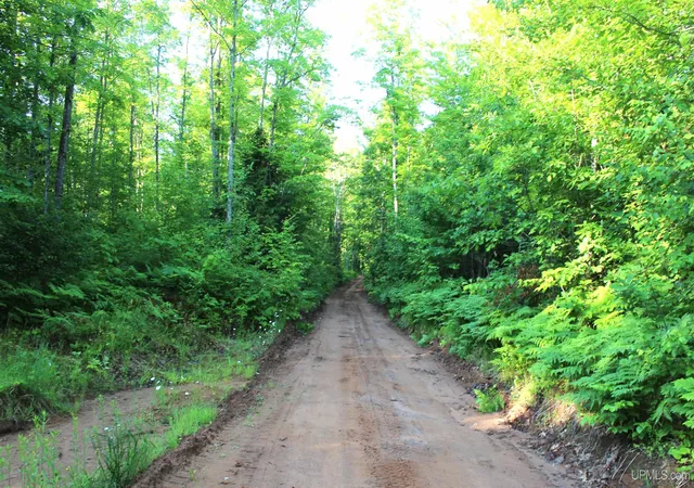 3rd image of On Alder Cr Rd, Marquette, MI 49855 | MLS# 50180398