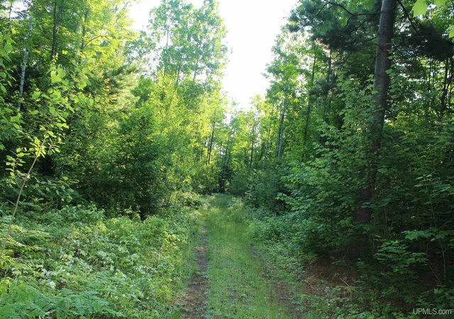 4th image of On Alder Cr Rd, Marquette, MI 49855 | MLS# 50180398