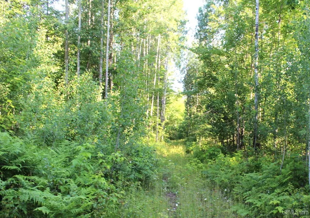 5th image of On Alder Cr Rd, Marquette, MI 49855 | MLS# 50180398