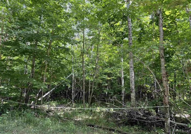 Photo 1 of Land for sale at Lot 4 Mulberry Ln, Florence, WI 54121 | MLS# 50218603 | Listing updated on 2026-08-14