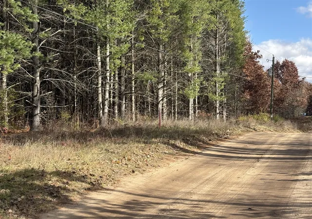 Photo 1 of Land for sale at 0 Tamarack Rd, Newaygo, MI 49337 | MLS# 70549334 | Listing updated on 2026-08-03