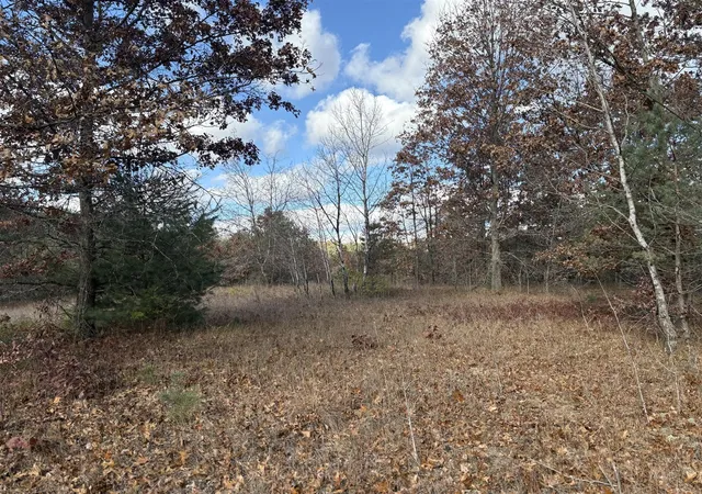 Photo 2 of Land for sale at 0 Tamarack Rd, Newaygo, MI 49337 | MLS# 70549334 | Listing updated on 2026-08-03