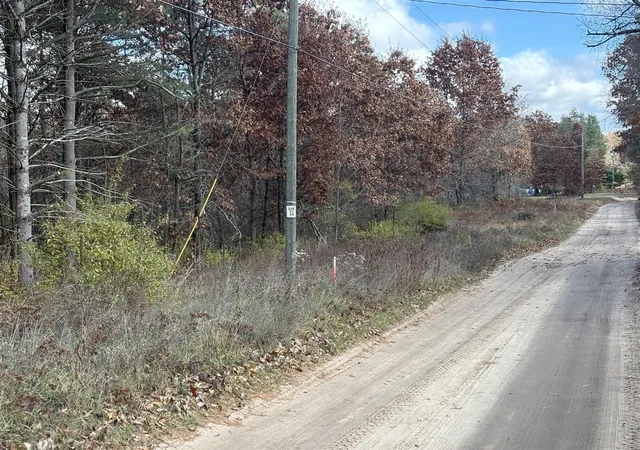 Photo 3 of Land for sale at 0 Tamarack Rd, Newaygo, MI 49337 | MLS# 70549334 | Listing updated on 2026-08-03