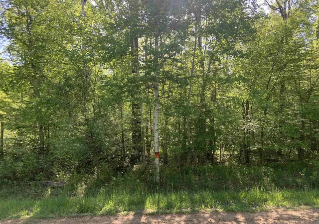 Homes for sale in Hope, MI | 2090 E Baker Rd, Hope, MI 48628 | MLS# 50209315