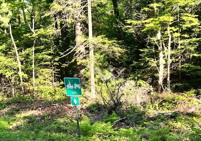 Photo 3 of Land for sale at Lot 1 S Shore Rd, Phelps T Wi, WI 54554 | MLS# 50218978 | Listing updated on 2026-08-18