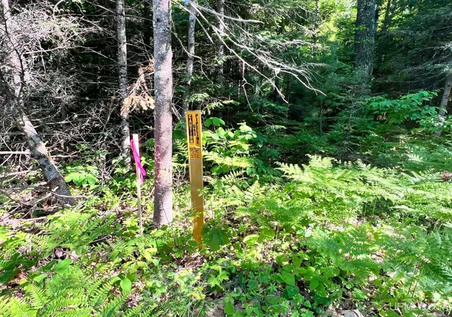 Photo 3 of Land for sale at Lot 1 S Shore Rd, Phelps T Wi, WI 54554 | MLS# 50218978 | Listing updated on 2026-08-18