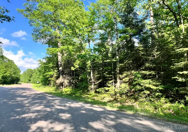 Photo 4 of Land for sale at Lot 1 S Shore Rd, Phelps T Wi, WI 54554 | MLS# 50218978 | Listing updated on 2026-08-18