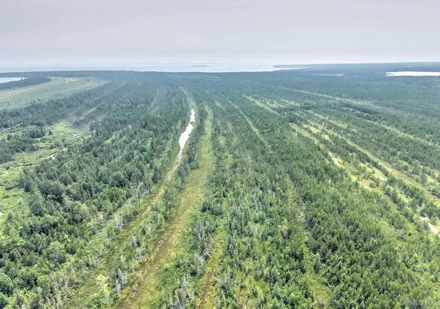 Photo 2 of Land for sale at Tbd Near Rice Lake & Big Traverse Bay Rds Rd, Lake Linden, MI 49945 | MLS# 50153419 | Listing updated on 2026-07-27