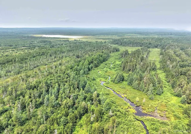 Photo 3 of Land for sale at Tbd Near Rice Lake & Big Traverse Bay Rds Rd, Lake Linden, MI 49945 | MLS# 50153419 | Listing updated on 2026-07-27