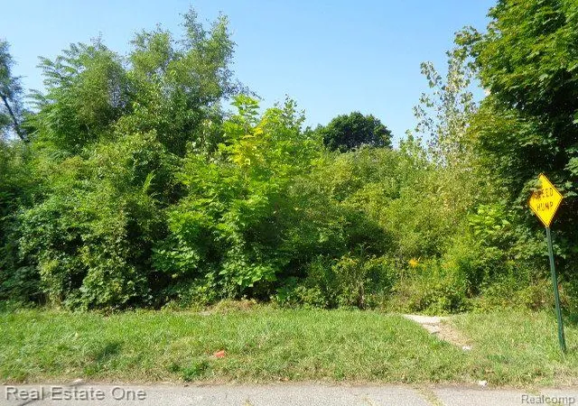 Photo 2 of Land for sale at 2143 Helen St, Detroit, MI 48207 | MLS# 60334749 | Listing updated on 2025-10-22