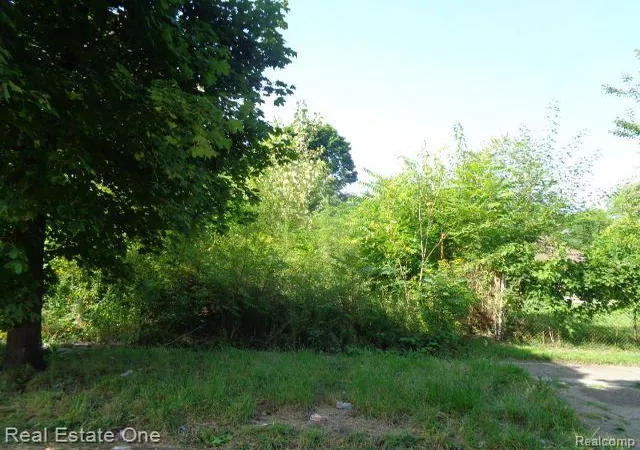 Photo 3 of Land for sale at 2143 Helen St, Detroit, MI 48207 | MLS# 60334749 | Listing updated on 2025-10-22