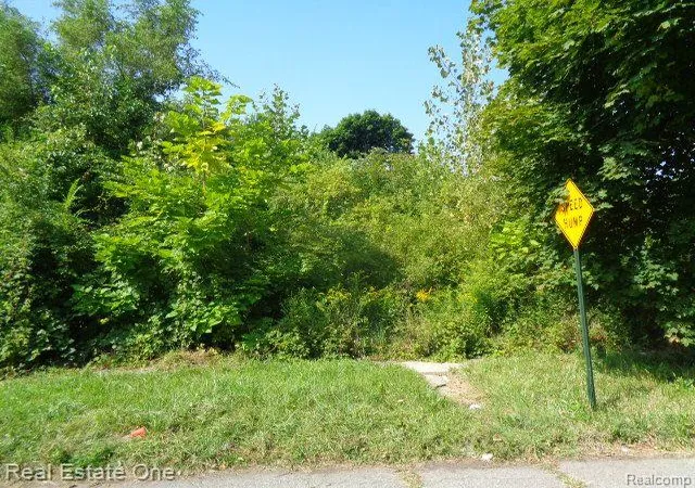 Photo 3 of Land for sale at 2143 Helen St, Detroit, MI 48207 | MLS# 60334749 | Listing updated on 2025-10-22